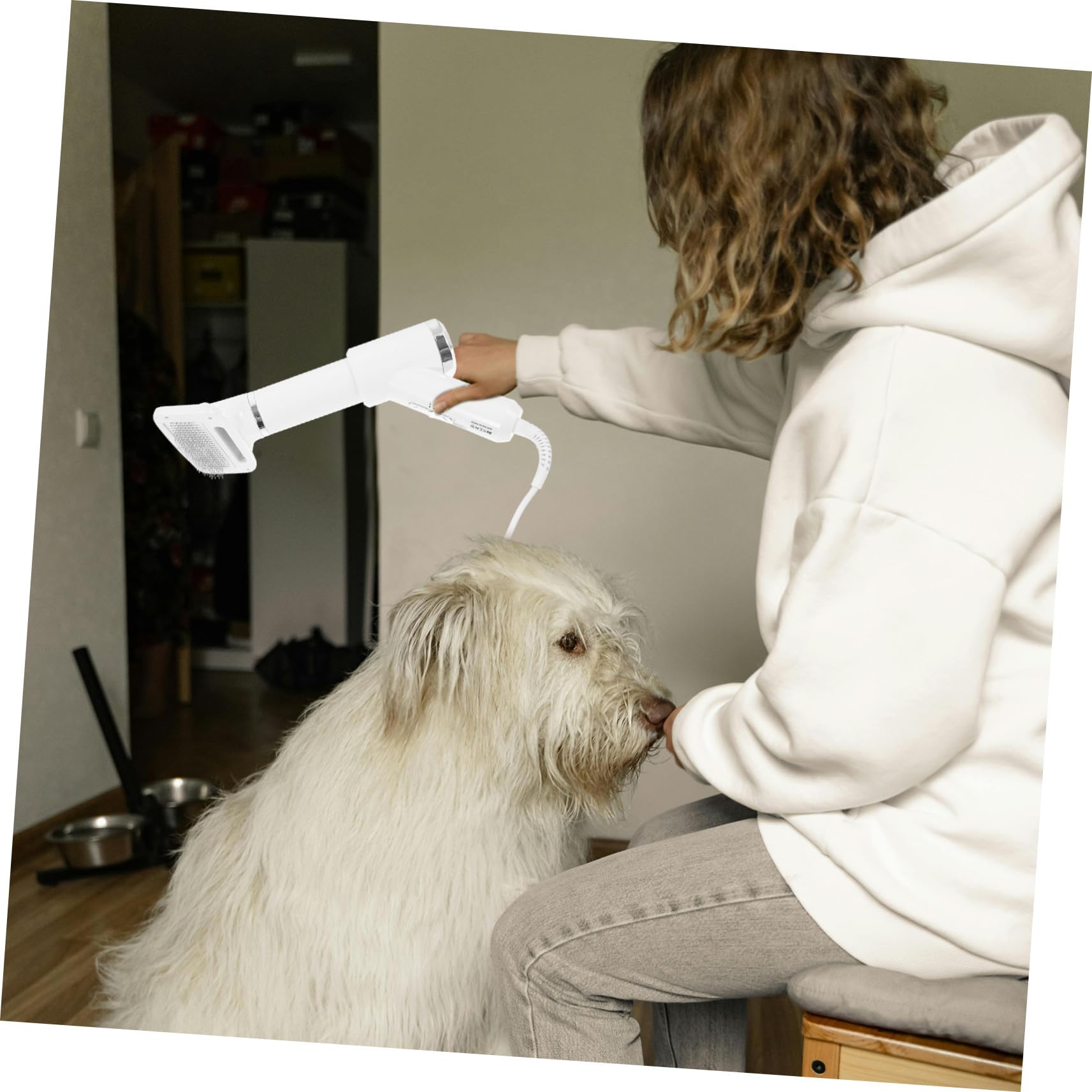 iplusmile Sèche-cheveux pour Animaux de Compagnie Peigne Démêlant en Plastique Blanc, Sèche-cheveux pour Chien et Chat, Accessoire de Toilettage Pratique pour Propriétaires D'animaux