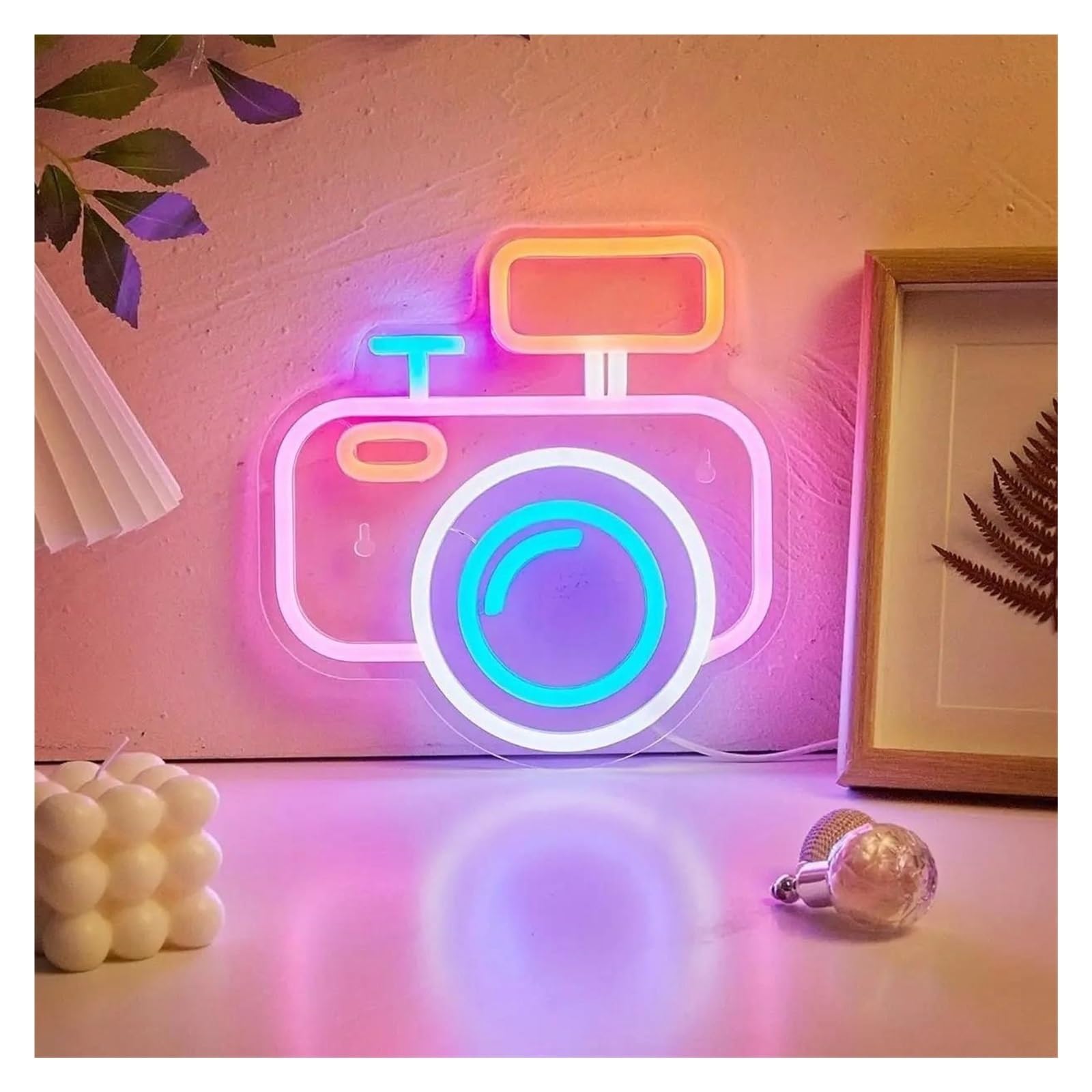 Fotocamera per carina per insegna per neon Light per alimentazione per neon
