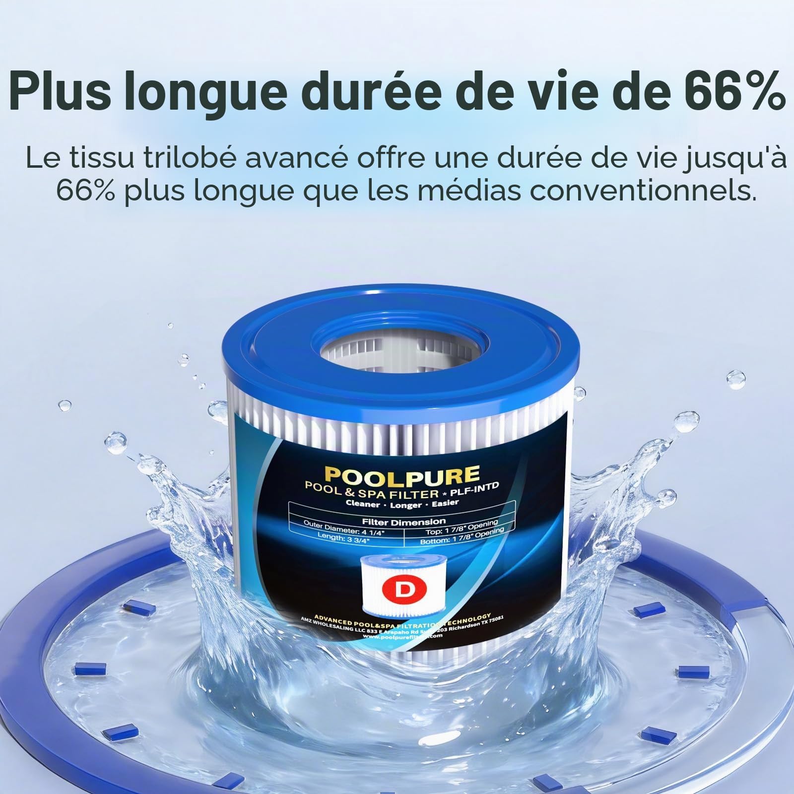 POOLPURE Summer Escapes Lot de 4 filtres de Remplacement pour Piscine et Spa de Type D, Summer Waves P57100102, P57000104