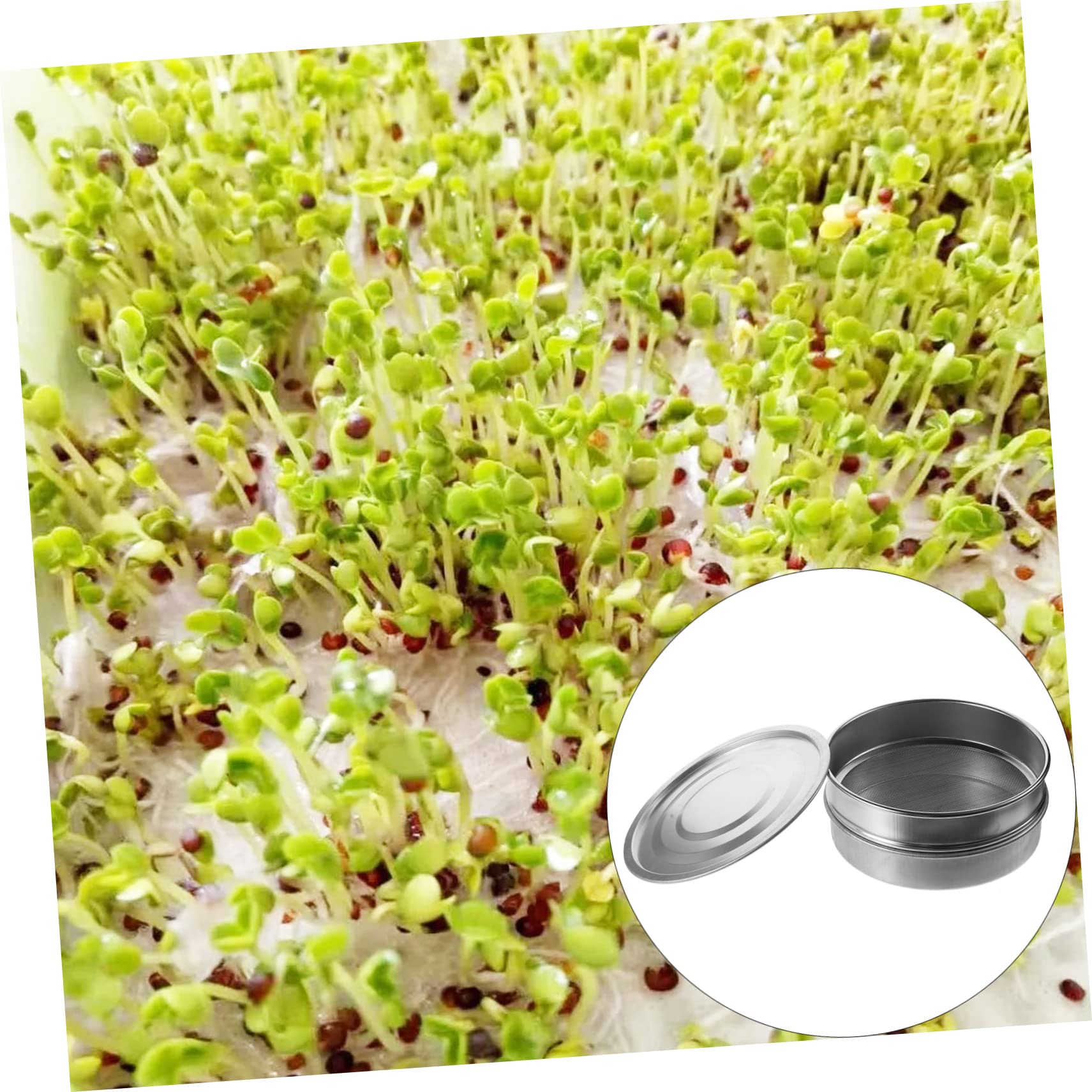 Garneck Kit De Bandeja De Germinación, Bandeja De Acero Inoxidable Malla, 3 Piezas para Germinar Semillas En Casa, Jardín o Oficina