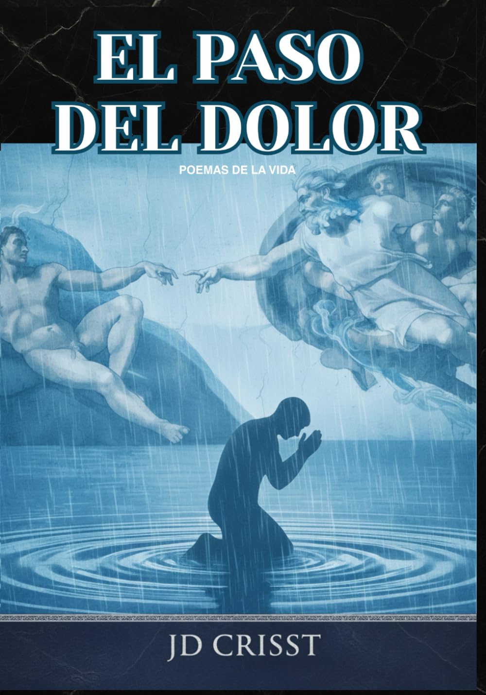 EL PASO DEL DOLOR: POEMAS DE LA VIDA