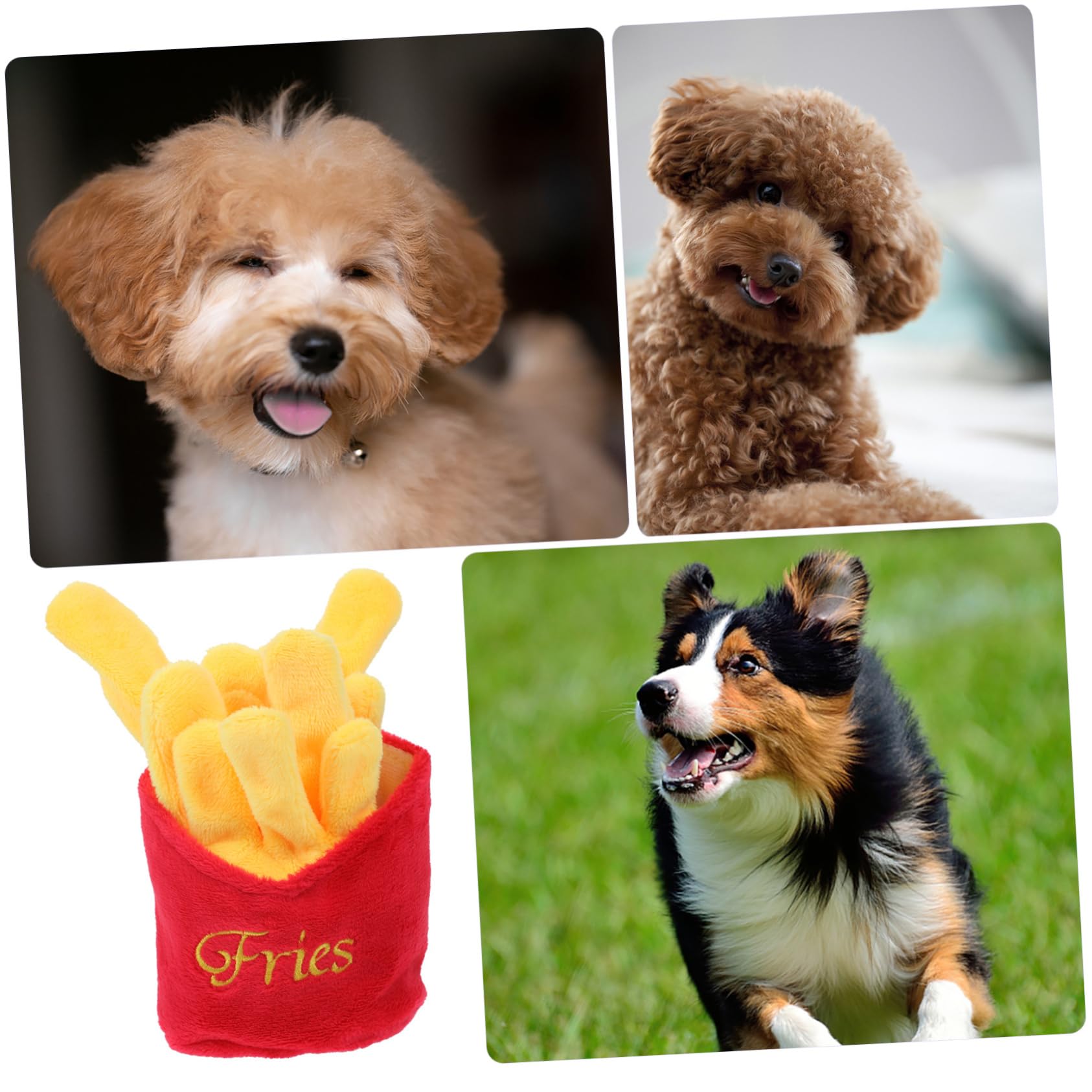 Jouet De Nourriture pour Chien Peluche Couineuse Jouet Résistant Couleur Vive Taille Petite pour Jeu Intérieur Et Extérieur Chiots Et Chiens Adultes