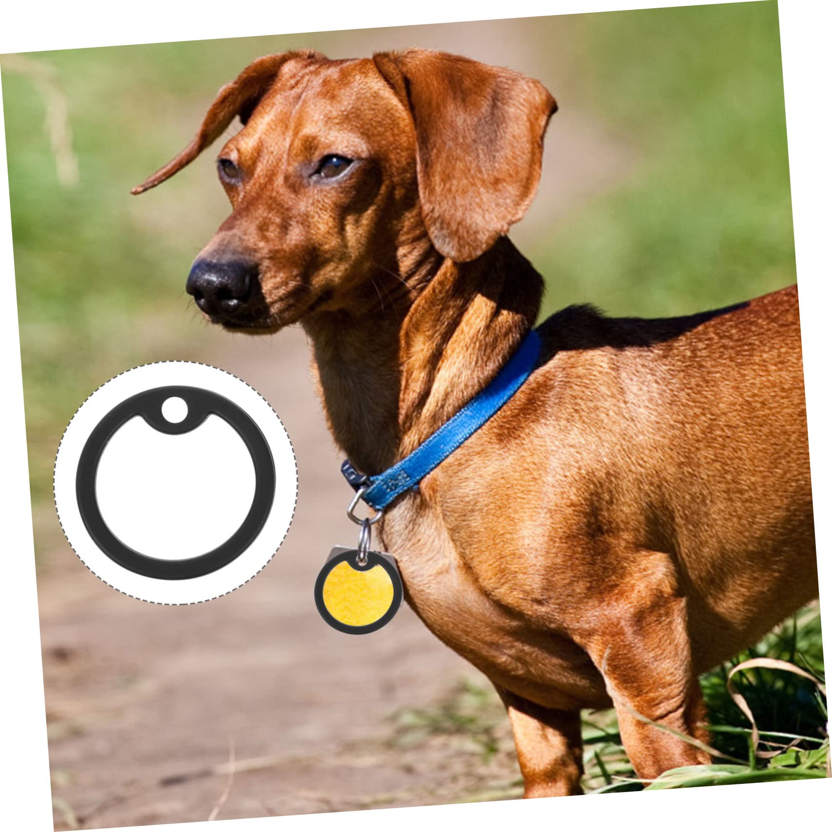 10 Anelli Silicone Per Targhette Cani - Anti Rumore E Protezione | Facili Da Installare