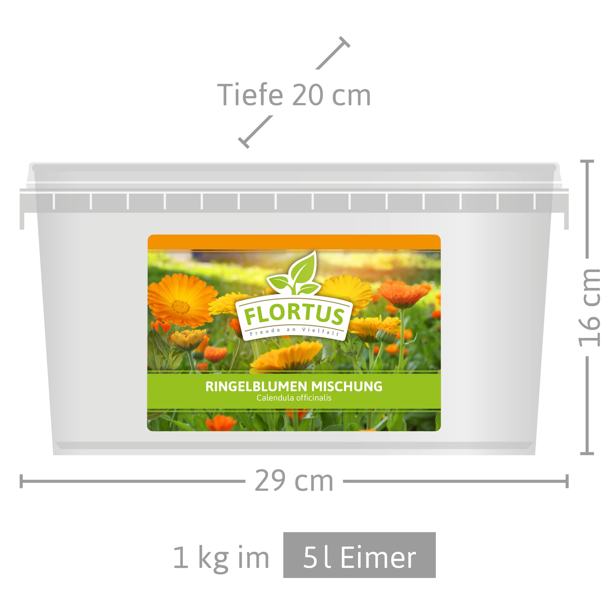 FLORTUS – Ringelblumen Samen Mischung 1kg Gelb-Orange zum Aussähen – Blumensamen für Bienenweide – Calendula officinalis Saatgut für bienenfreundliche Ringelblumen Pflanzen mit essbaren Blüten
