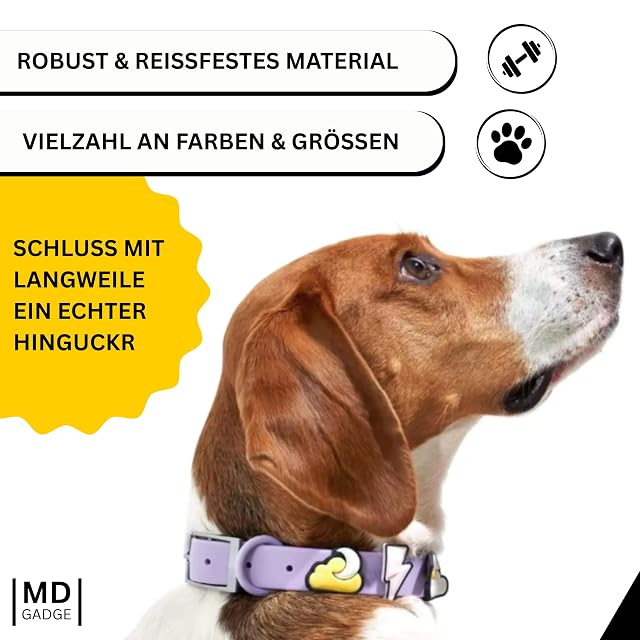 Foto 5 de 7 de Collar para perro con colgantes (resistente) - Collar ajustable para perro