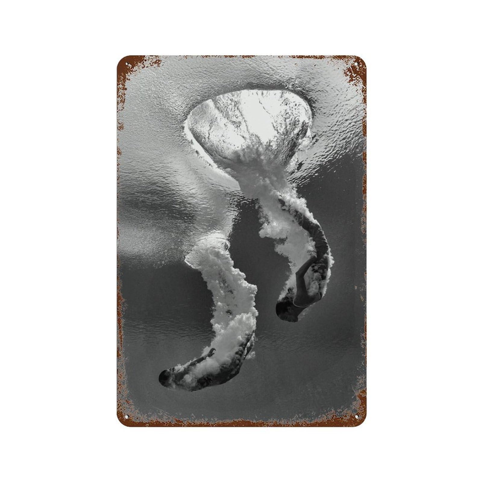 xiaoxiaoshen Diving, Photography Prints, Wall Decor Art Metal Tin Poster Modern Home Decor Art Home Bar Shop Decorations Vintage Sign 30x20cm