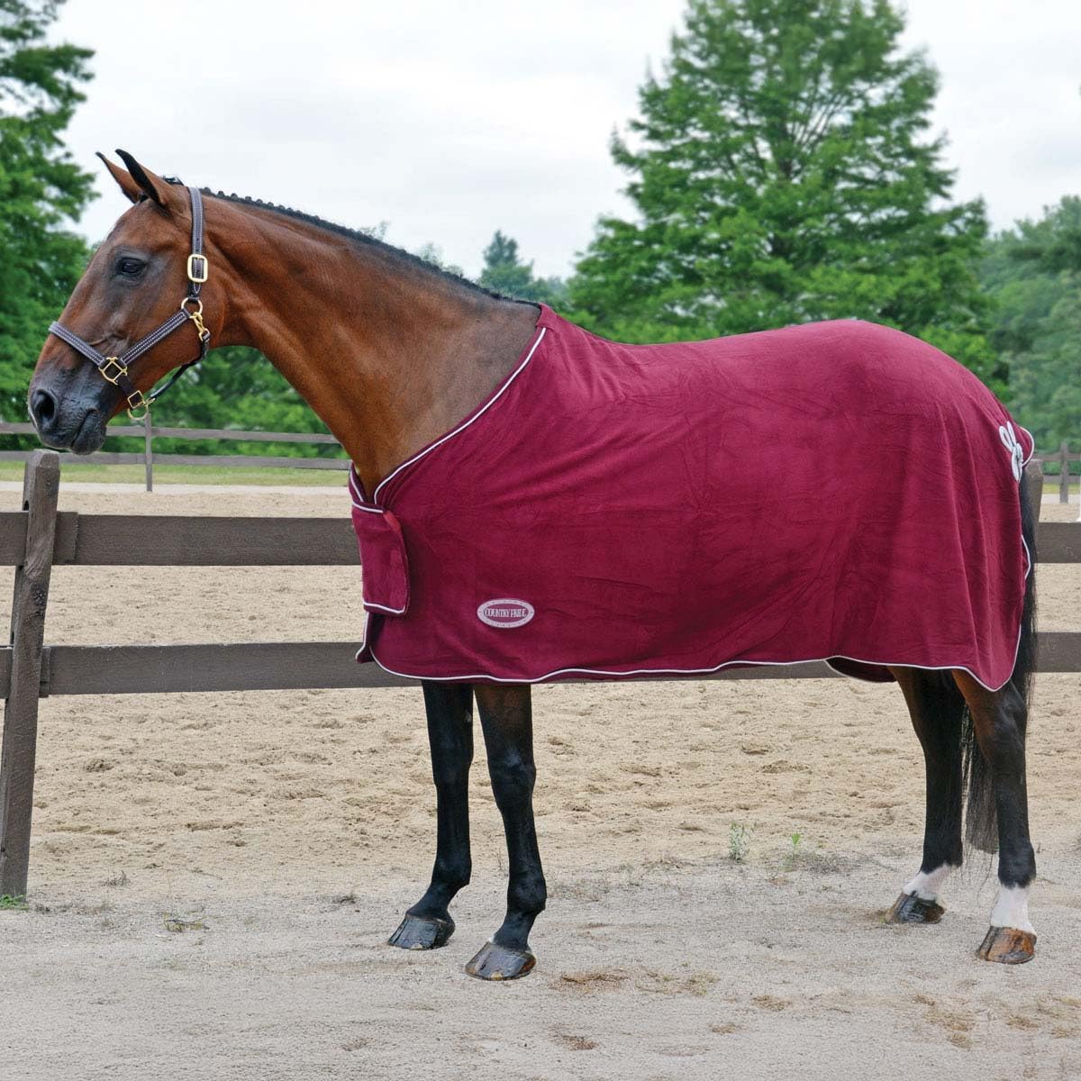 Country Pride Deluxe Micro Fleece Show Cooler, Horse Blanket, Single Buckle Front, Belly Surcingle, Silver Corded Trim, Flower Braid Hip, Show-Ready & Comfortable (Black, Medium)