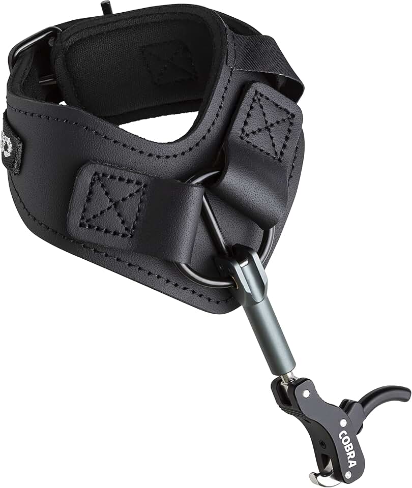 Select2 jquery. 17 блок vag-com приборная панель. Glenmorangie highland single malt scotch whisky 12. импортировать фото в svg. Select release.