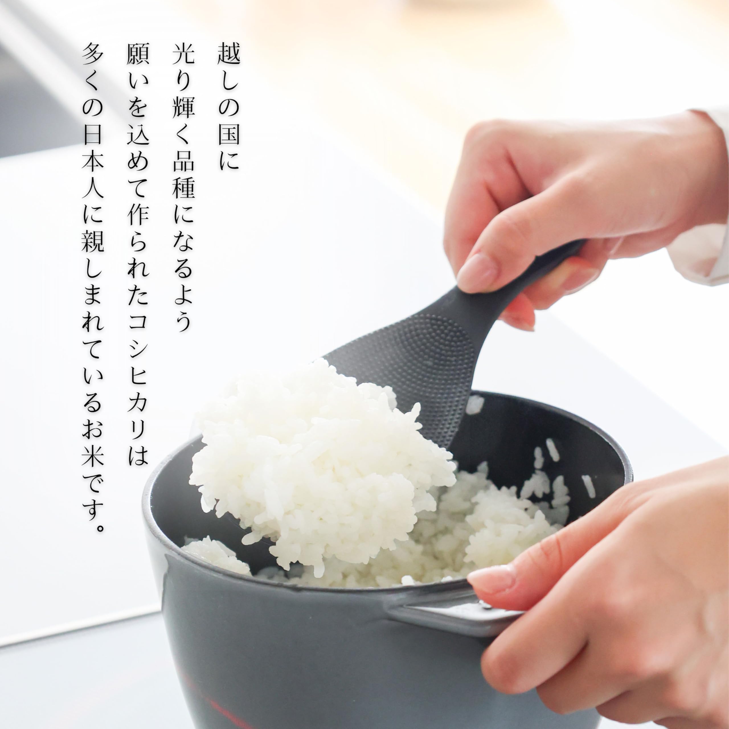 Amazon.co.jp: 令和7年 愛媛県産コシヒカリ 精米 白米 (20kg) : 食品