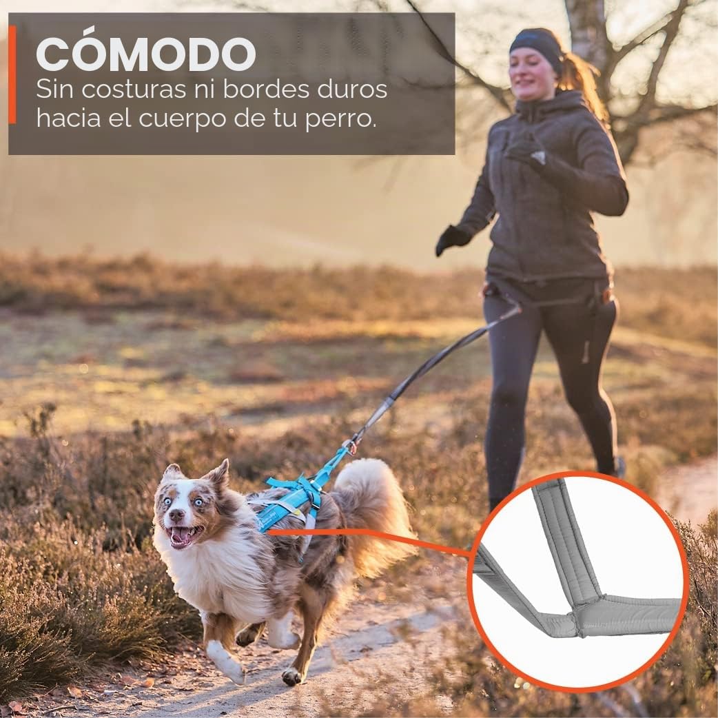 Non-stop dogwear Freemotion Arnés 5.0 | Arnés para Perros para Todos los Deportes, Talla: 3