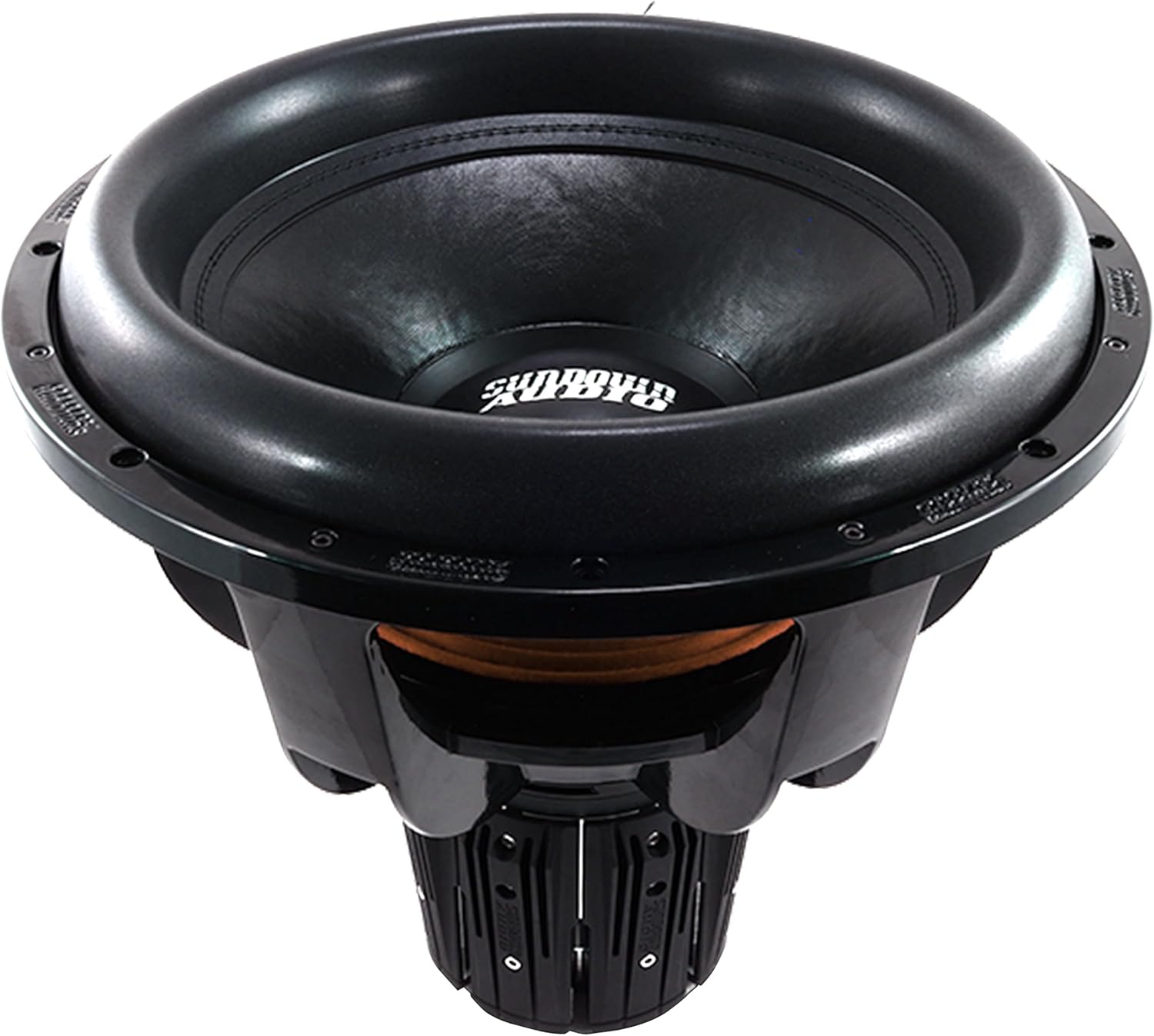 Top-down view of Sundown Audio NS-12v6 subwoofer cone and surround