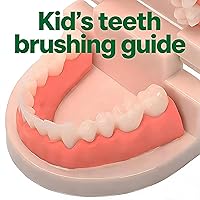 Vista 3 de Modelo de dientes estándar, YOFAN Kids Dental Teaching Study Supplies Adult Standard Typodont Demonstration Dental D