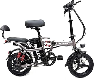 RALLY bicycle model 14-E-BIKE-FOLDING