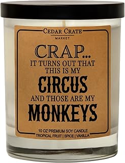Funny Candle Gifts for Mom - Made in USA - Mothers Day, Birthday Gifts for Women, Men, Dad, Best Friend, Sister, Coworker Candle, Birthday Candles, Unique Present from Daughter or Son, 100% Soy Wax