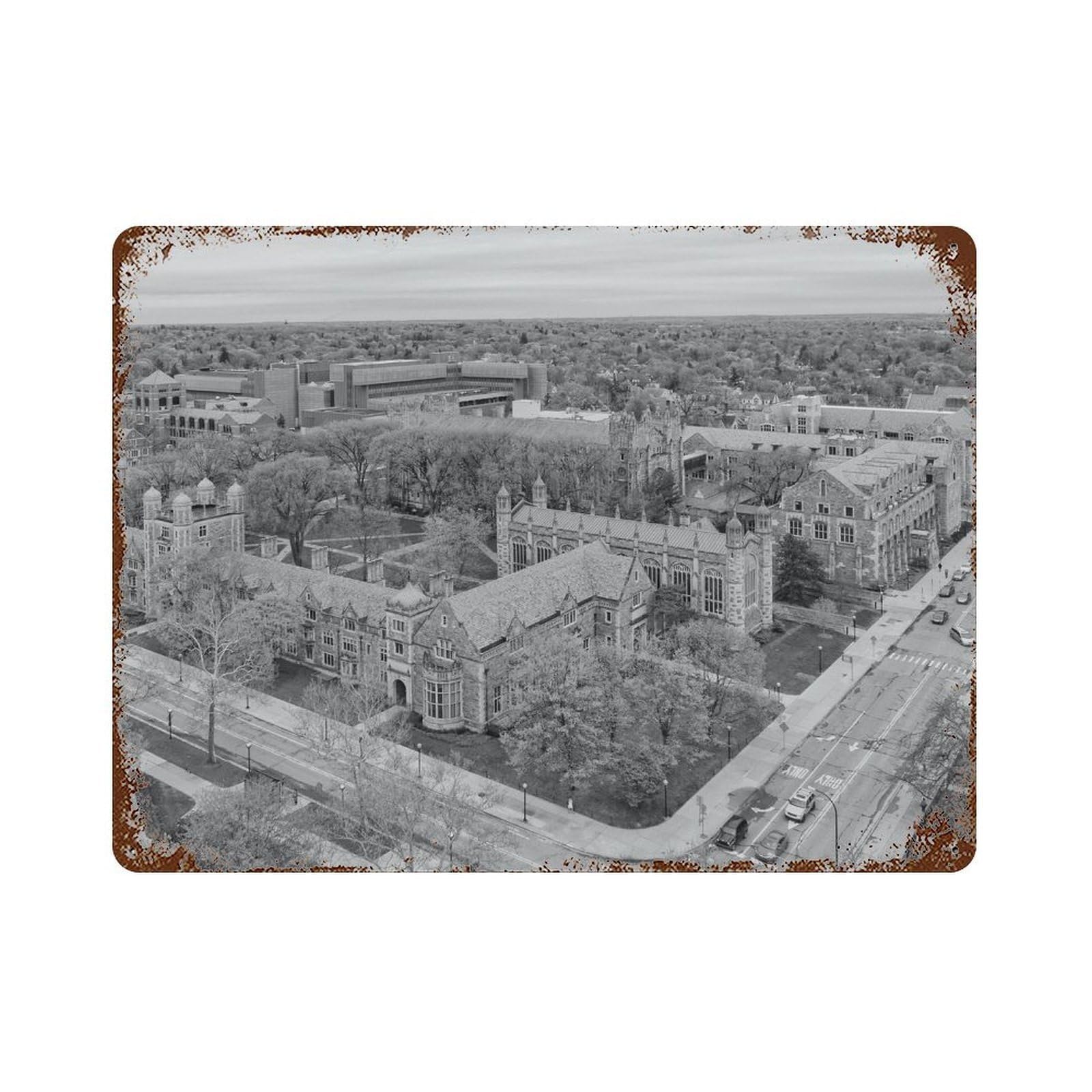 xiaoxiaoshen Black And White Ann Arbor Photo Decor Michigan Wall Decor Art Metal Tin Poster Modern Home Decor Art Home Bar Shop Decorations Vintage Sign 30x40cm