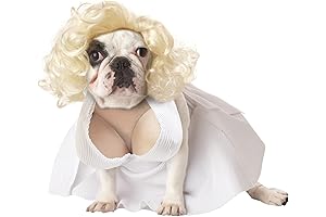 Marilyn Monroe Dog Costume: Unleash the Iconic Glamour for Your Furry Friend