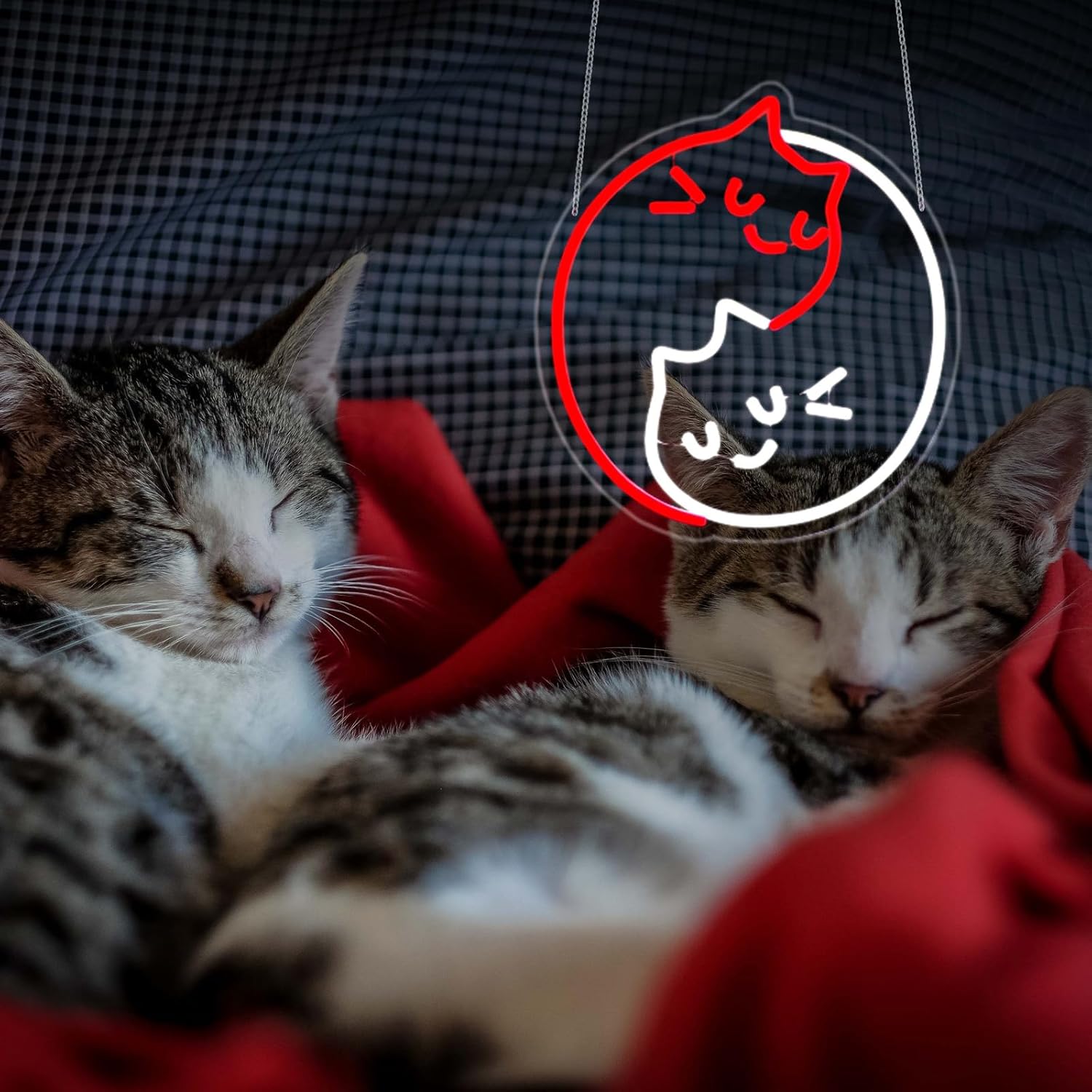 Neon Sign Cat, JGHTURIE Cat Neon Signs for Wall Decor, Animal Light Up Sign Cute Led Sign for Room Decor,Bar, Party, USB Powered - Image 8