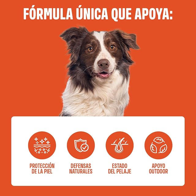 Foto 5 de 8 de ivvi Outdoor para Perros - 60 Snacks Blandos Piel, Pelaje y Defensas, 270 g