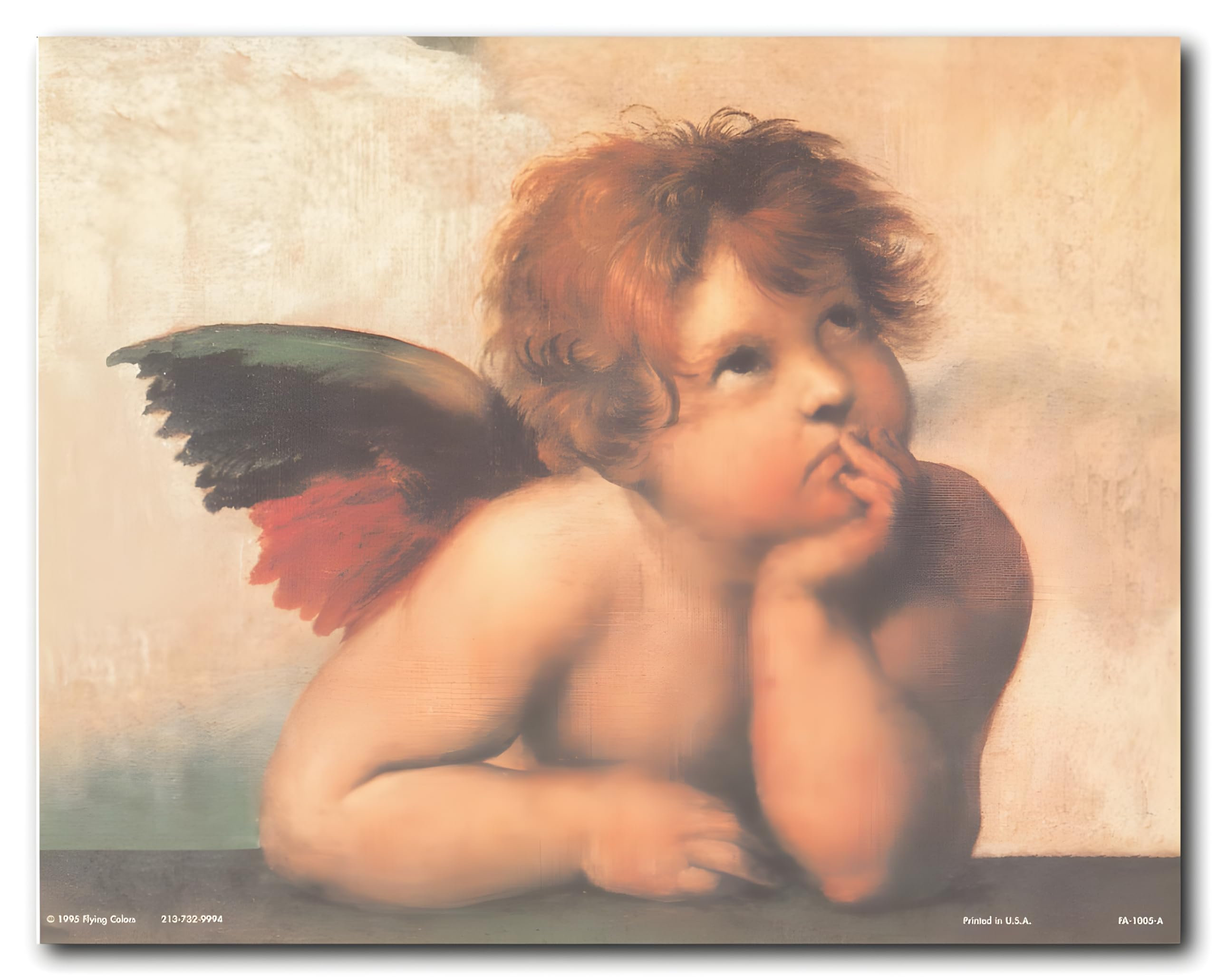 Amazon.com: Impact Posters Gallery Little Angel Cherubini Of