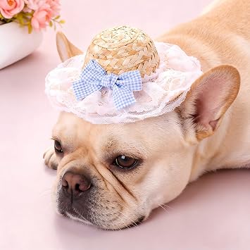 Handcrafted Dog Straw Hat with Adjustable Chin Strap,Blue Bowknot Design Lovely Cat Hat,Sun Hat Funny Dog Party Costume,Photo Prop Dog Sombrero Hat for Puppy/Cat/Kitty/Small Dog
