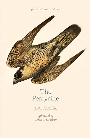 THE PEREGRINE: 50TH ANNIVERSARY EDITION