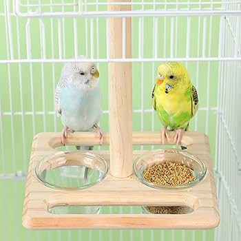 木製ケージ止まり木付き【未使用】 Amazon.co.jp 人気ギフトランキング: 鳥用止まり木 で、ギフトの