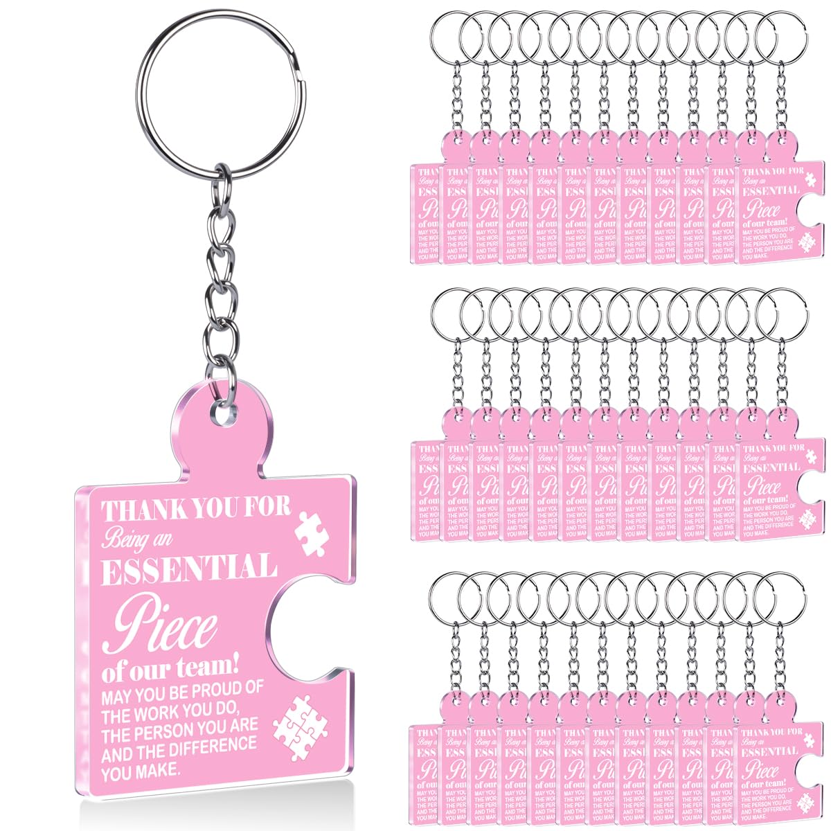 Team Appreciation Gifts Bulk Thank You Keychains for Coworkers