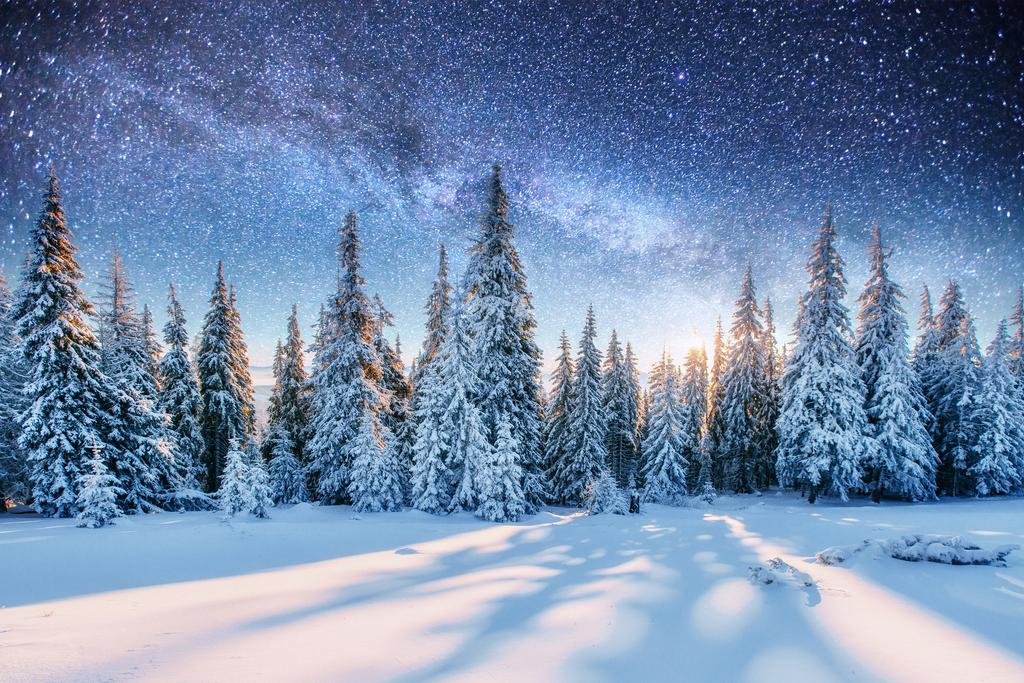 Laminated Dairy Star Trek In The Winter Woods Sky Photo Photograph Poster Dry Erase Wall Art 24x16