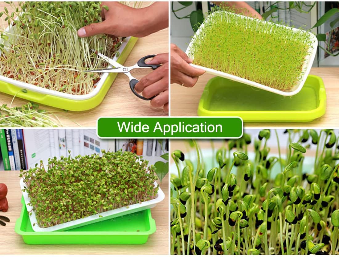 Confezione da 5 vassoi per germogliare i semi, senza BPA, vassoio per la germinazione dei semi di erba di grano sani, per giardino, casa, ufficio, in polipropilene (PP), verde, grigio