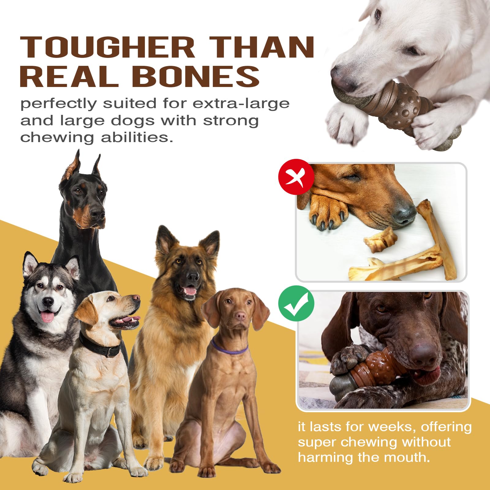 clover Indestructible Dog Toys - Image 3
