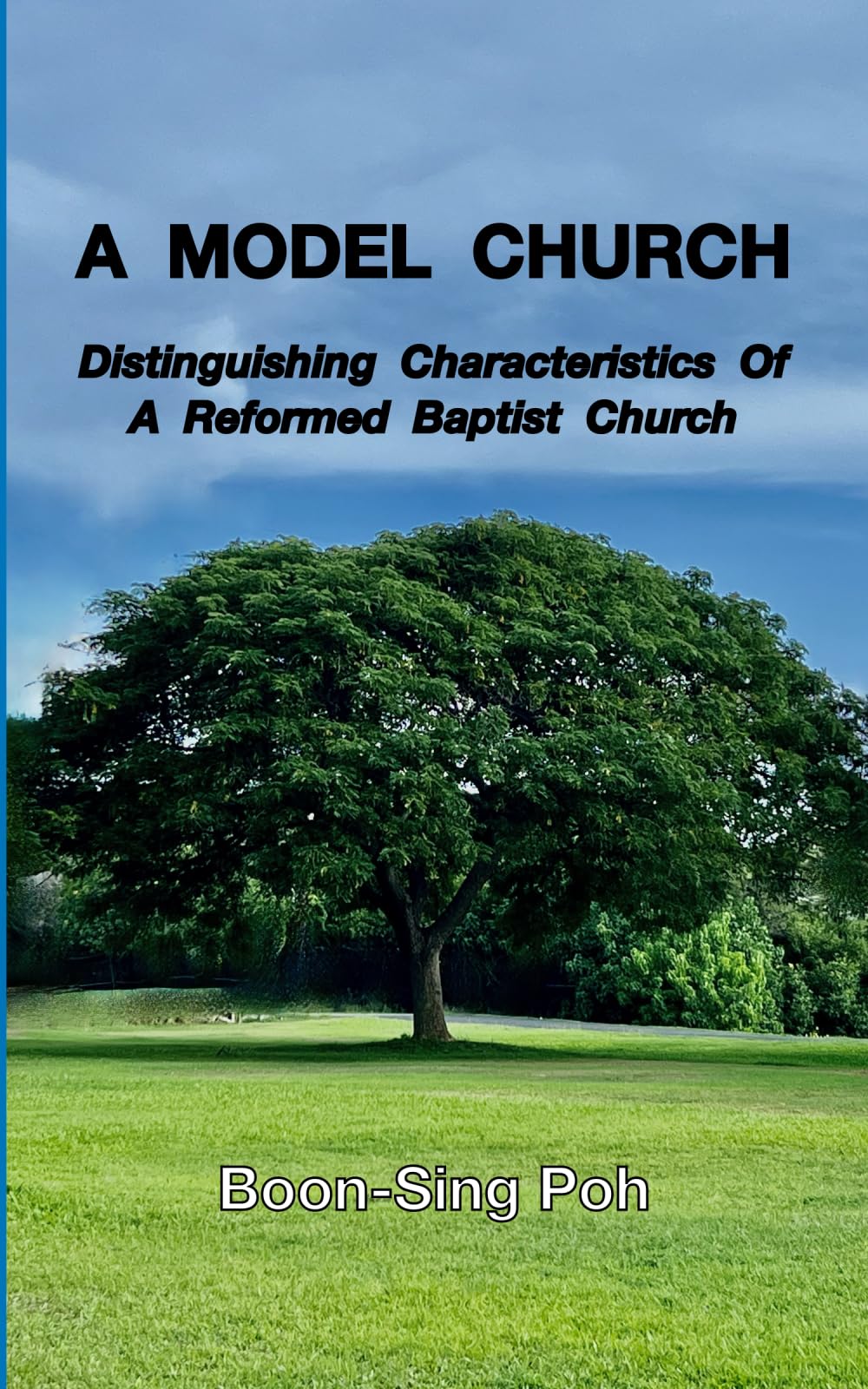 A MODEL CHURCH: Distinguishing Characteristics Of A Reformed Baptist Church