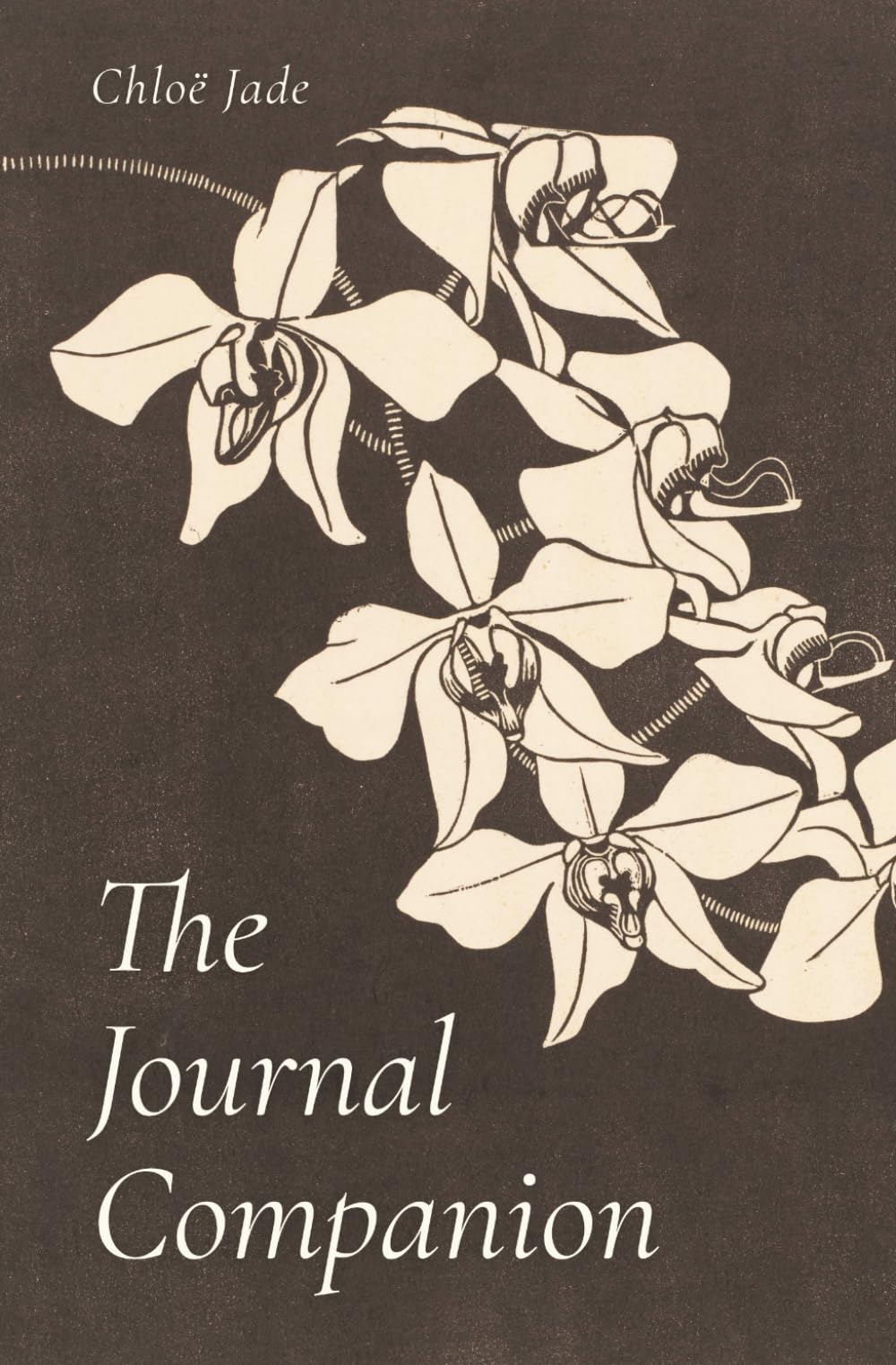 The Journal Companion: A Collection of Creative and Reflective Prompts