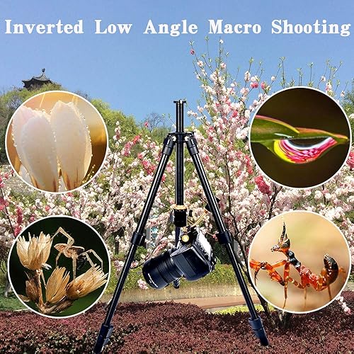 Miniatura 6 de YoTilon Trípode para cámara trípode de cámara de viaje ligero portátil para DSLR trípodes de bola SLR de 360 grados con placa de 14 para Canon Nikon