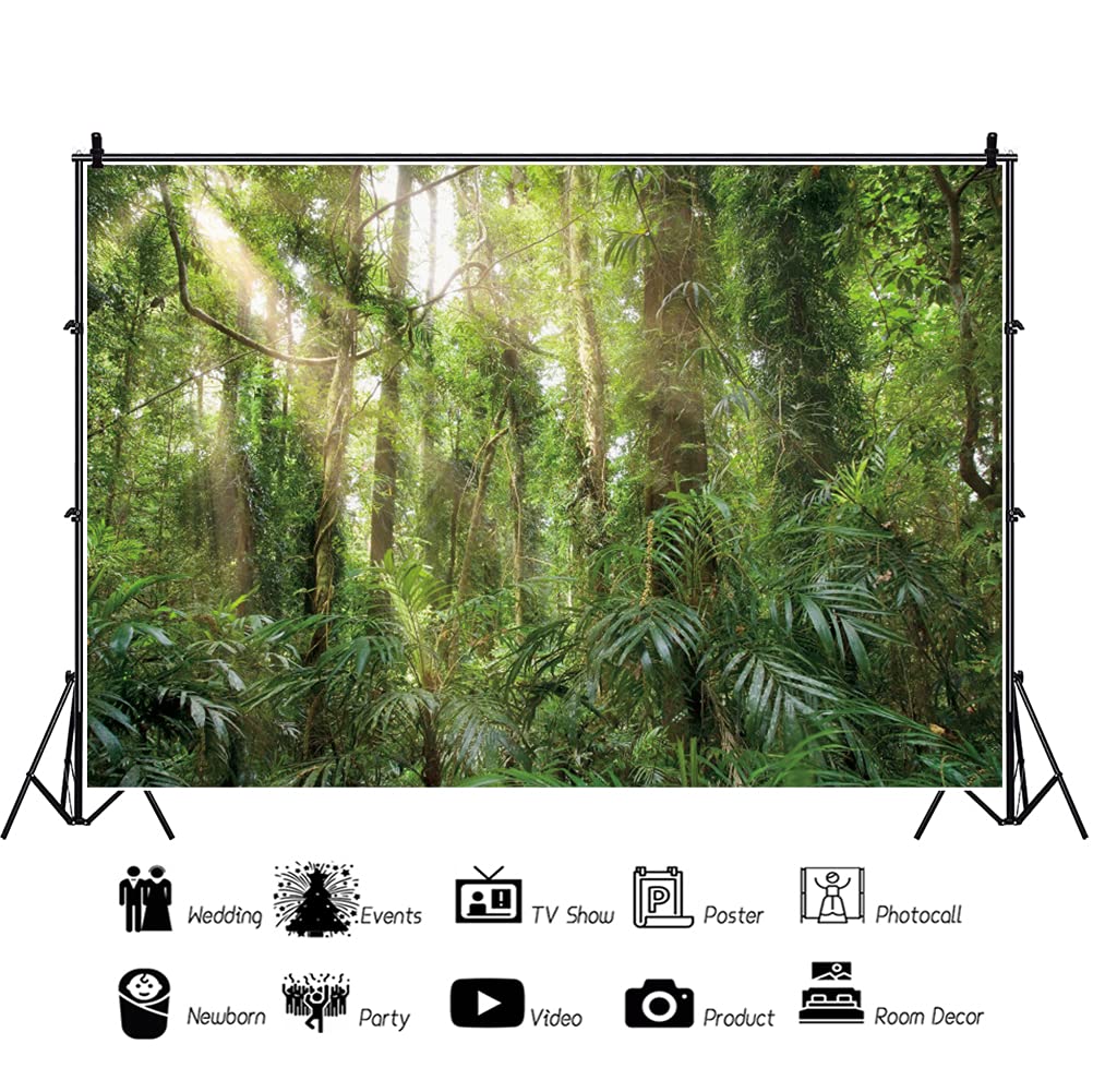 12x8ft Tranquilo Fondo de poliéster Forestal Natural Sunshine Evergreen Forest Jungle Spring Forest Landscape Background Campamento temática Pancarta Accesorios de Estudio fotográfico