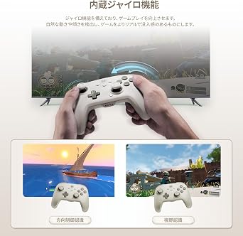 Bigbig Won wireless controller for PC, 6-axis gyroscope, dual shock, 128-stage macro programming, NFC, Turbo, Bluetooth game controller, for Windows 10/Android/iOS/PC