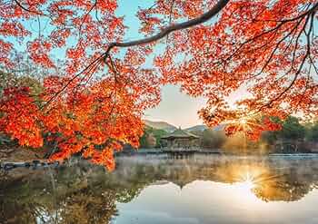 【すの】ポスター2枚 Amazon.co.jp: 絵画風 壁紙ポスター （はがせるシール式） 日産