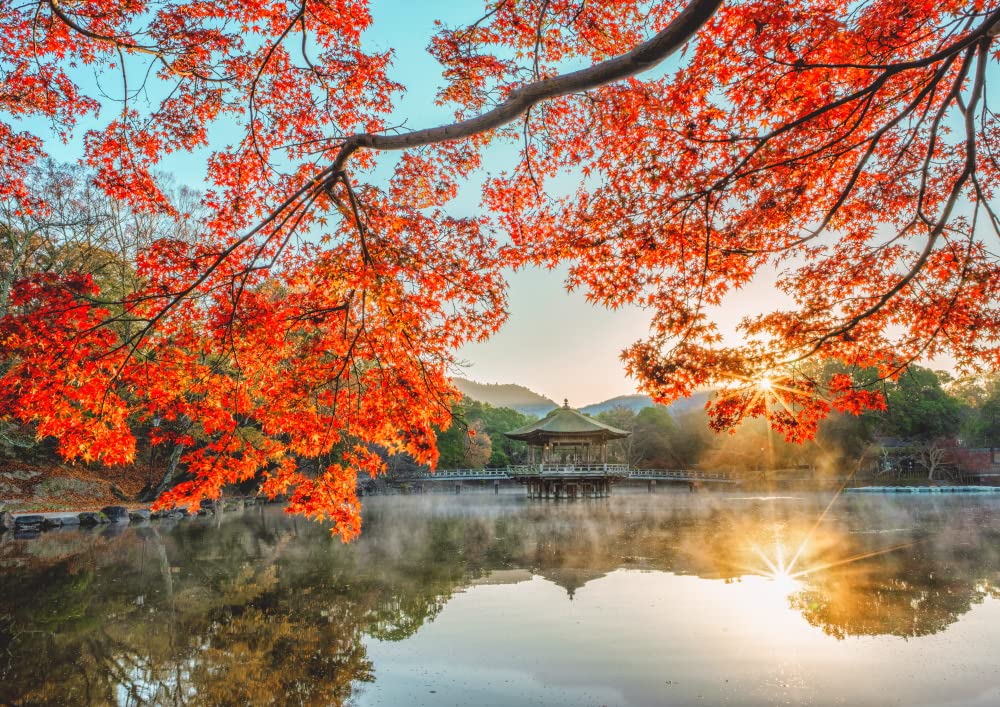 レトロ 壁掛け 色紙 古材 春日杉材 奈良春日山原始林 近鉄奈良駅すぐ
