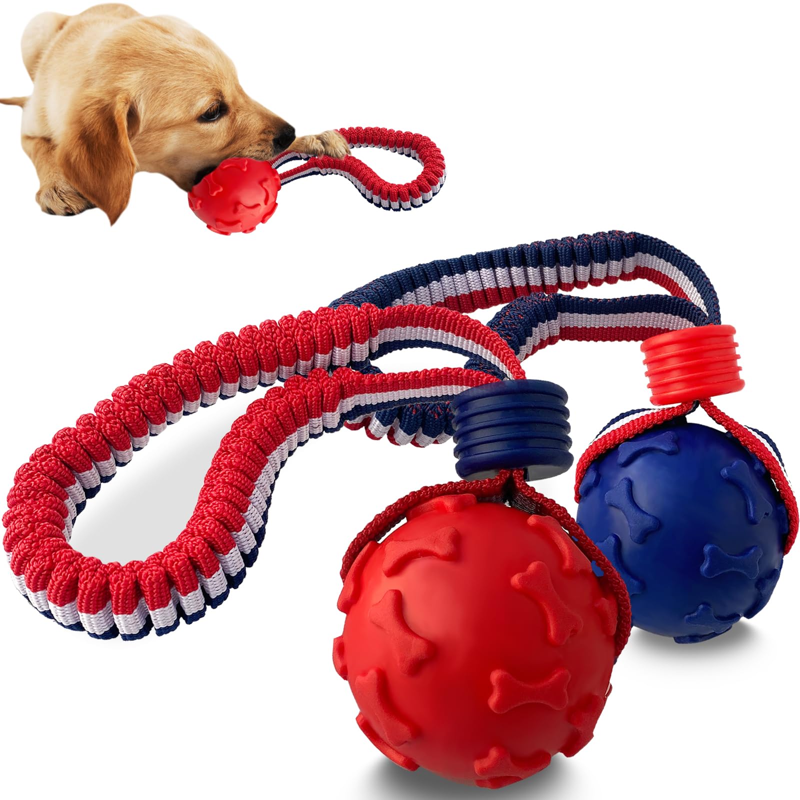 Amazon | ViVNiK 2025年の新しい ペットボール、犬用おもちゃ