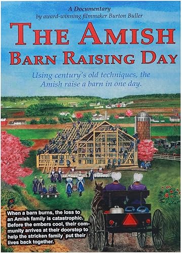 Los Amish Día de crianza de graneros