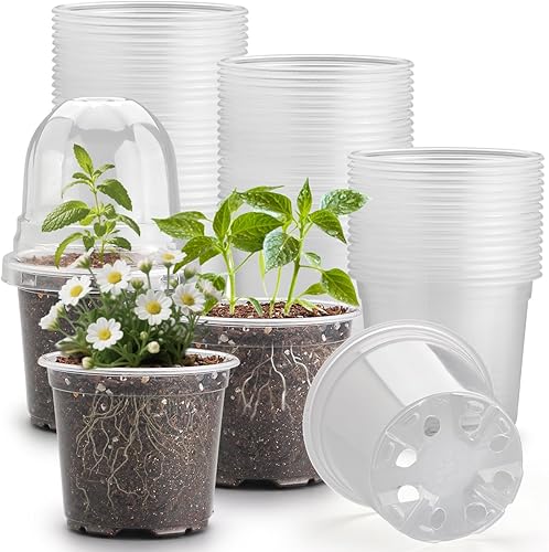 Juego de 60 macetas transparentes para guardería con cúpulas de humedad, macetas de plástico de 4 pulgadas con agujeros de drenaje para plántulas,