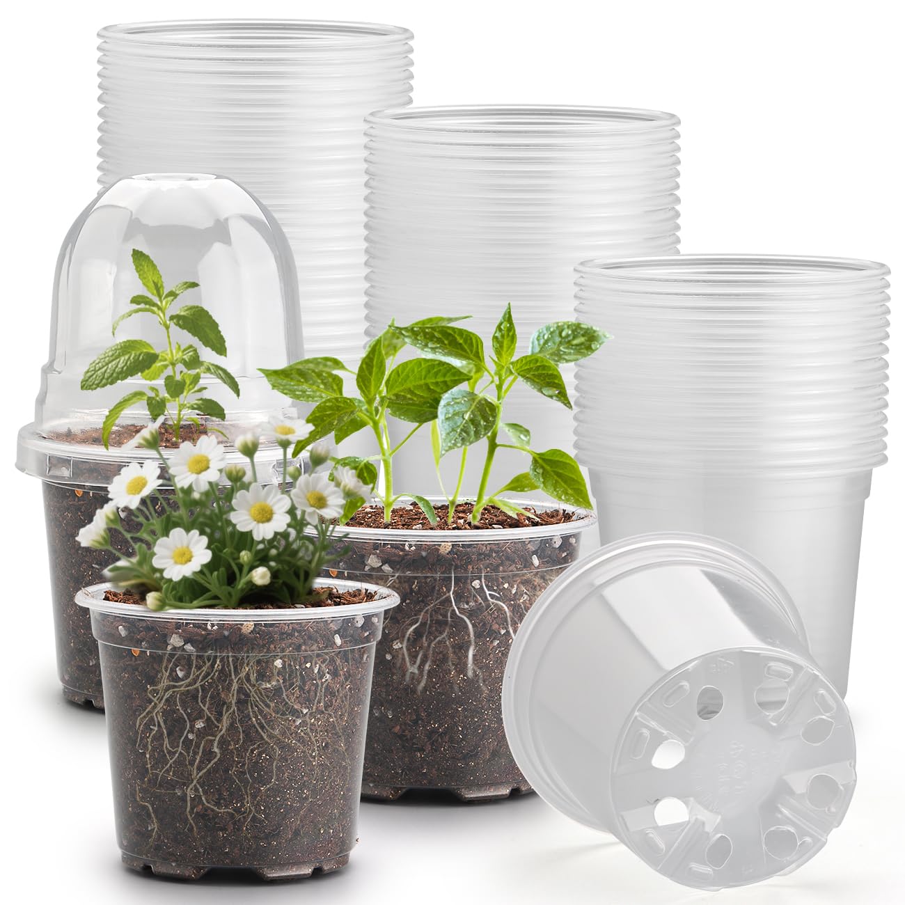 RooTrimmer Lot de 60 pots de fleurs en plastique transparent avec dômes humides, 10,2 cm avec trous de drainage pour semis, pot de démarrage pour boutures, propagation et jardinage d'intérieur