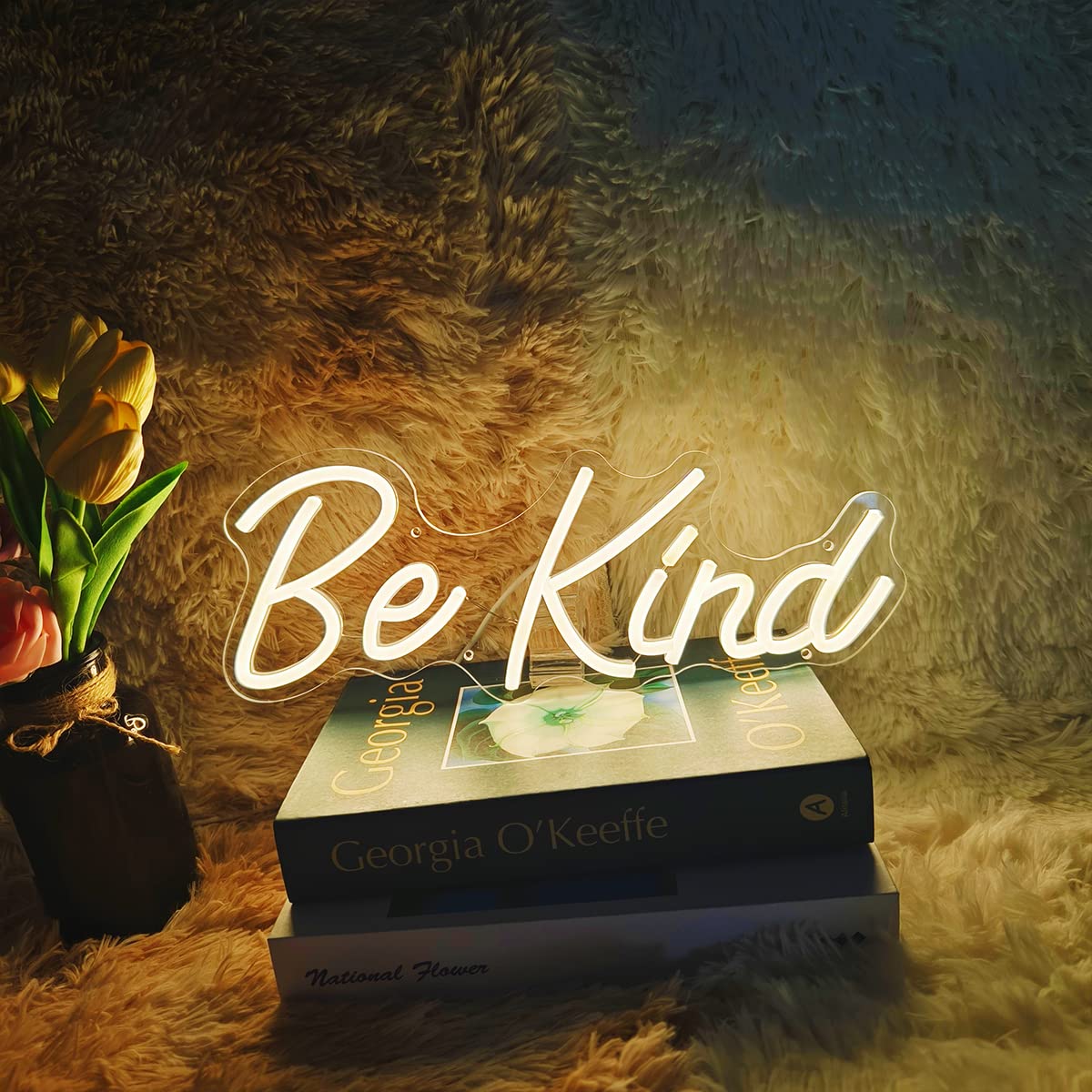 Be Kind Neon Sign, Dimmable LED Neon Light Signs for Wall Decor, USB Powered LED Sign for Bedroom, Office, Beauty Bar,Shop Decoration, Neon Signs Gift for Teen girls 14.6x5.7 Inch Warm white