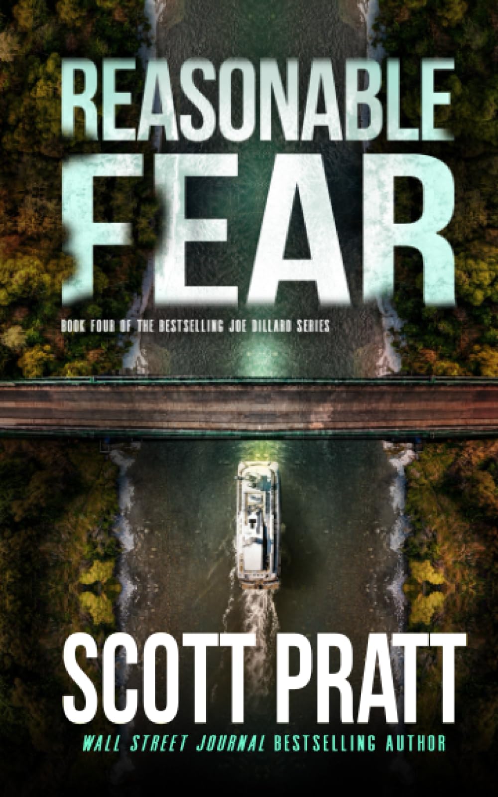 Reasonable Fear (Joe Dillard Series)