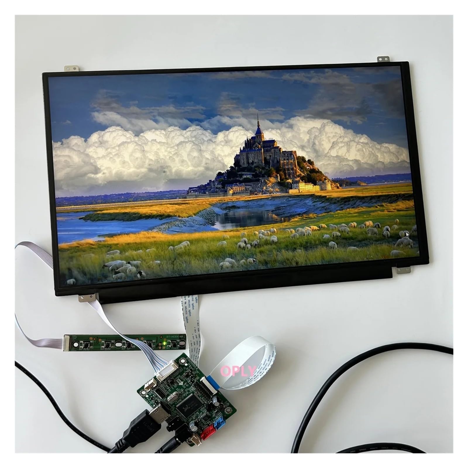 Kit Scheda Controller LCD EDP, VGA Type-C USB Mini HDMI, Pannello LED IPS Da 11,6 Pollici 1366 × 768 For Display, PC, Laptop, Console Di Gioco E Compatibile For Raspberry Pi(EDP board with panel)
