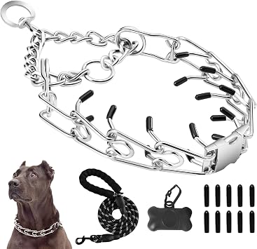 Prong Collar for Dogs and Dog LeashSilver, M/L | Adjustable Pinch Collar with Quick Release Metal Buckle, No Pull Choke Collar for Small Medium Large Dogs