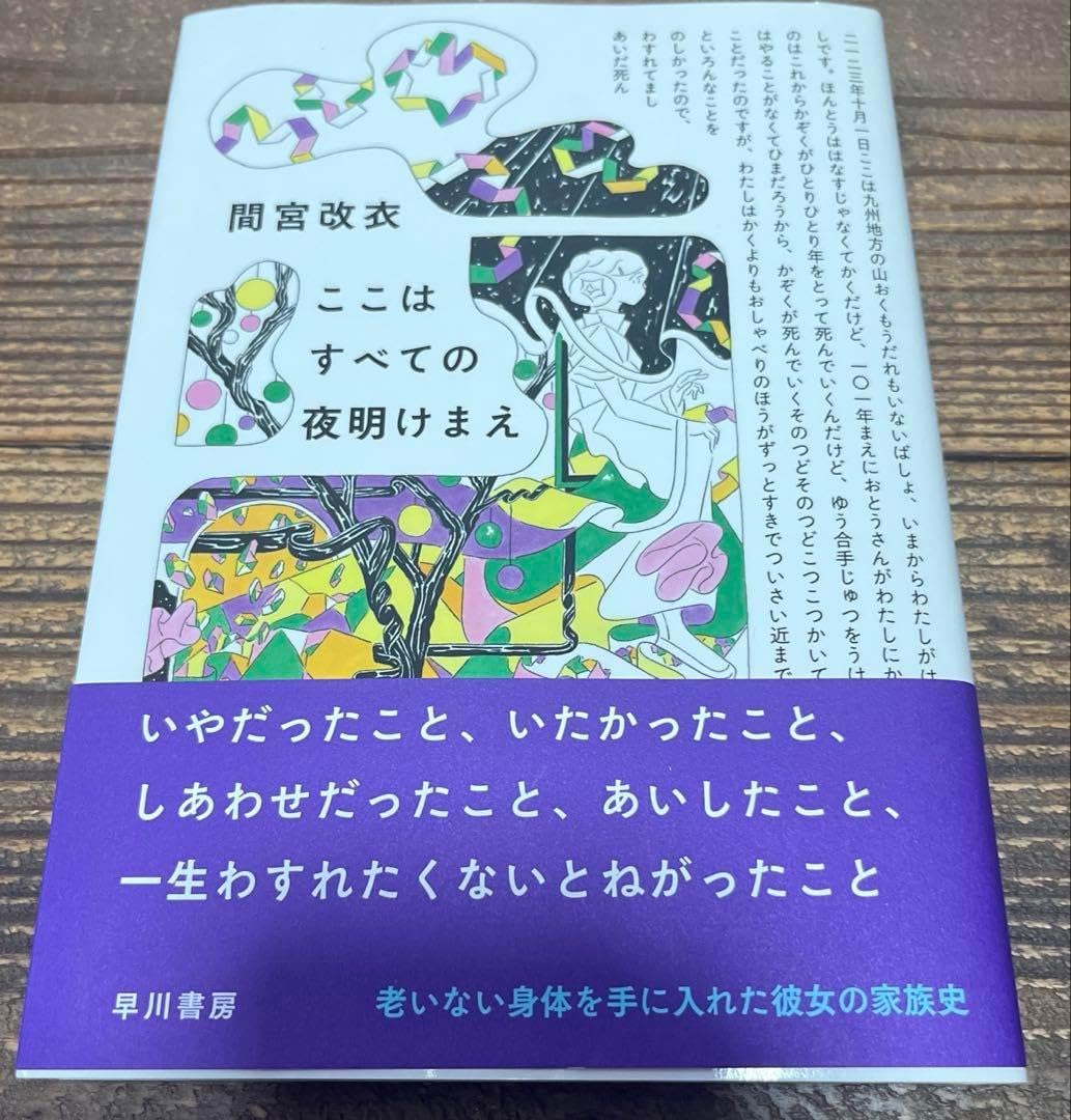 訳あり ノリタケ Noritake OASIS VERTティーセット 廃盤☆未使用品