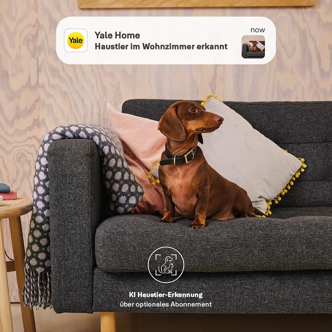 Yale - Smarte Innenkamera - SV-IC-1A-W-EU - Full HD Live Ansicht & Zwei-Wege-Audio - Bewegungsaufzeichnungen - Anpassbare Zonen & Zeitplanung - Nachtsicht - Echtzeit-Benachrichtigungen Home App