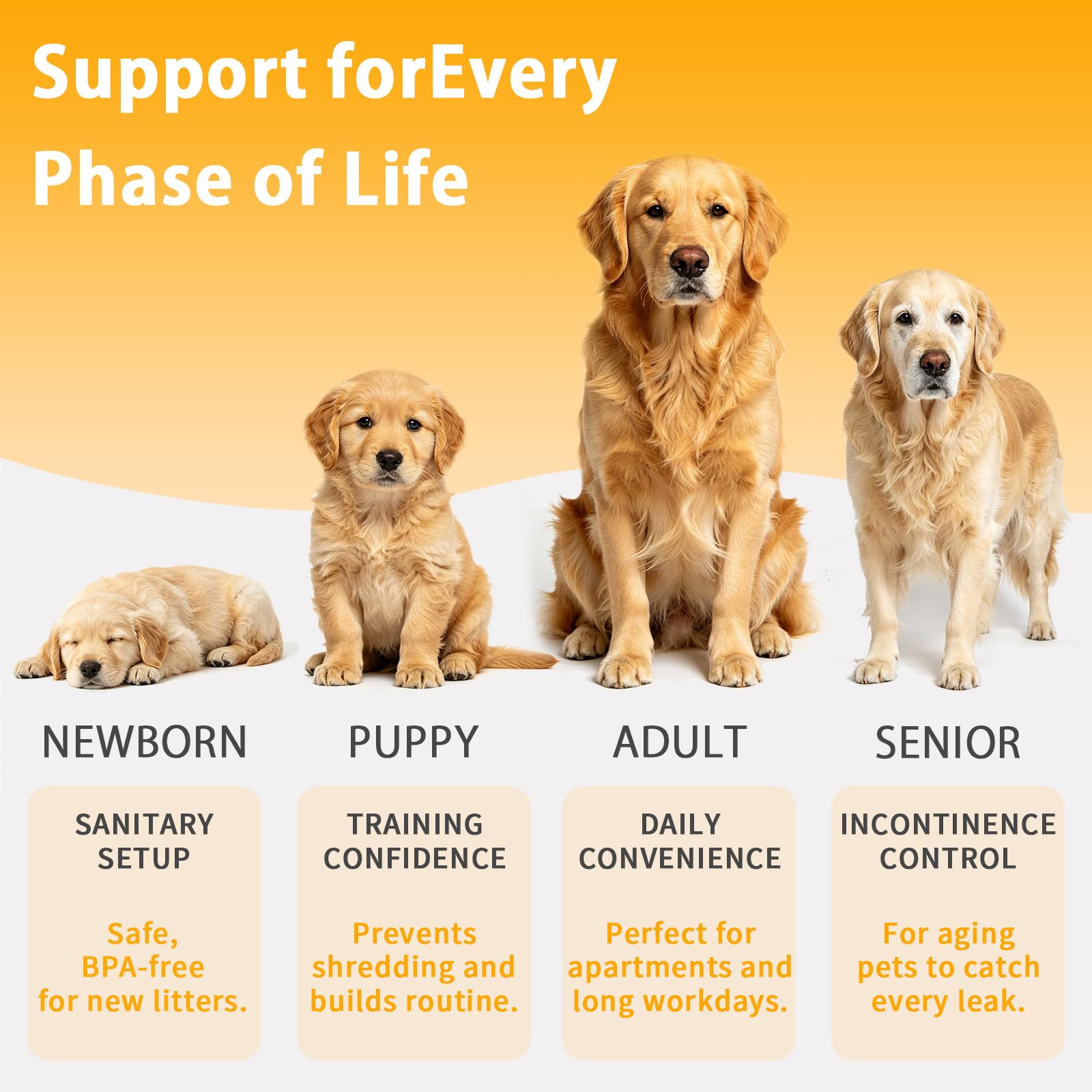 Support de tapis pipi pour chien, plateau en silicone, fixation | Pliable, réutilisable, lavable, antidérapant, imperméable, bord surélevé anti-fuite, protection du sol intérieur