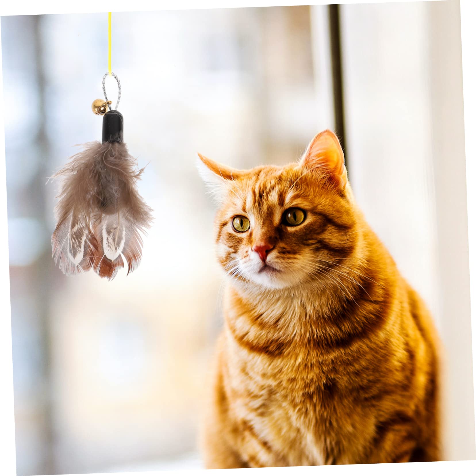 INOOMP Teaser Katze 30 Stk Ersatzkopf Für Katzenangel Nachfüllpackung Für Katzenspielzeug Spielzeuge Angelrute Für Katzen Katzenspielzeug Zauberstab Übungsspielzeug Für Katzen Plastik Insekt Schüttgut