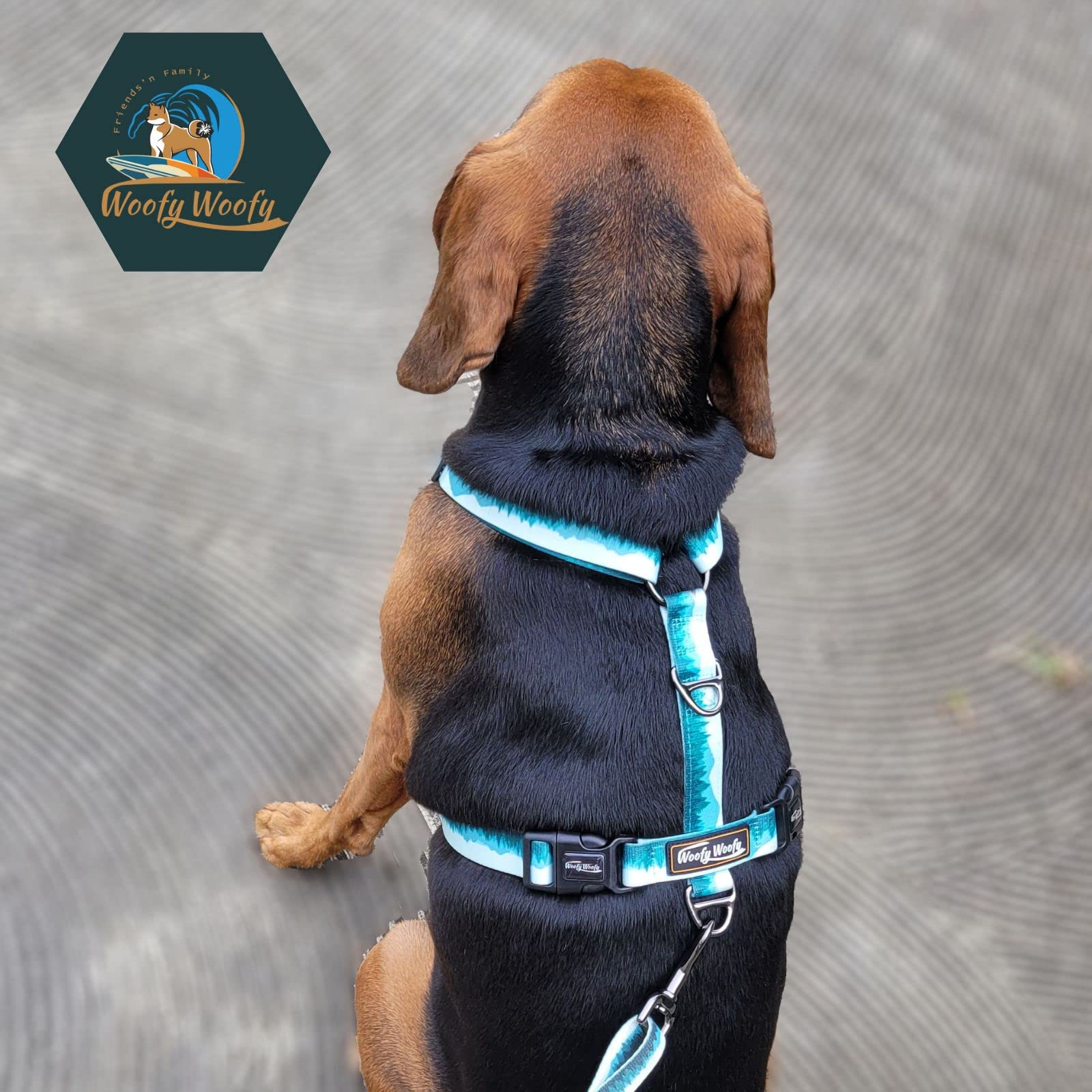 Arnés casual H para perro, arnés ajustable para perro, sin tirones, para uso diario y entrenamiento con acolchado suave (L)